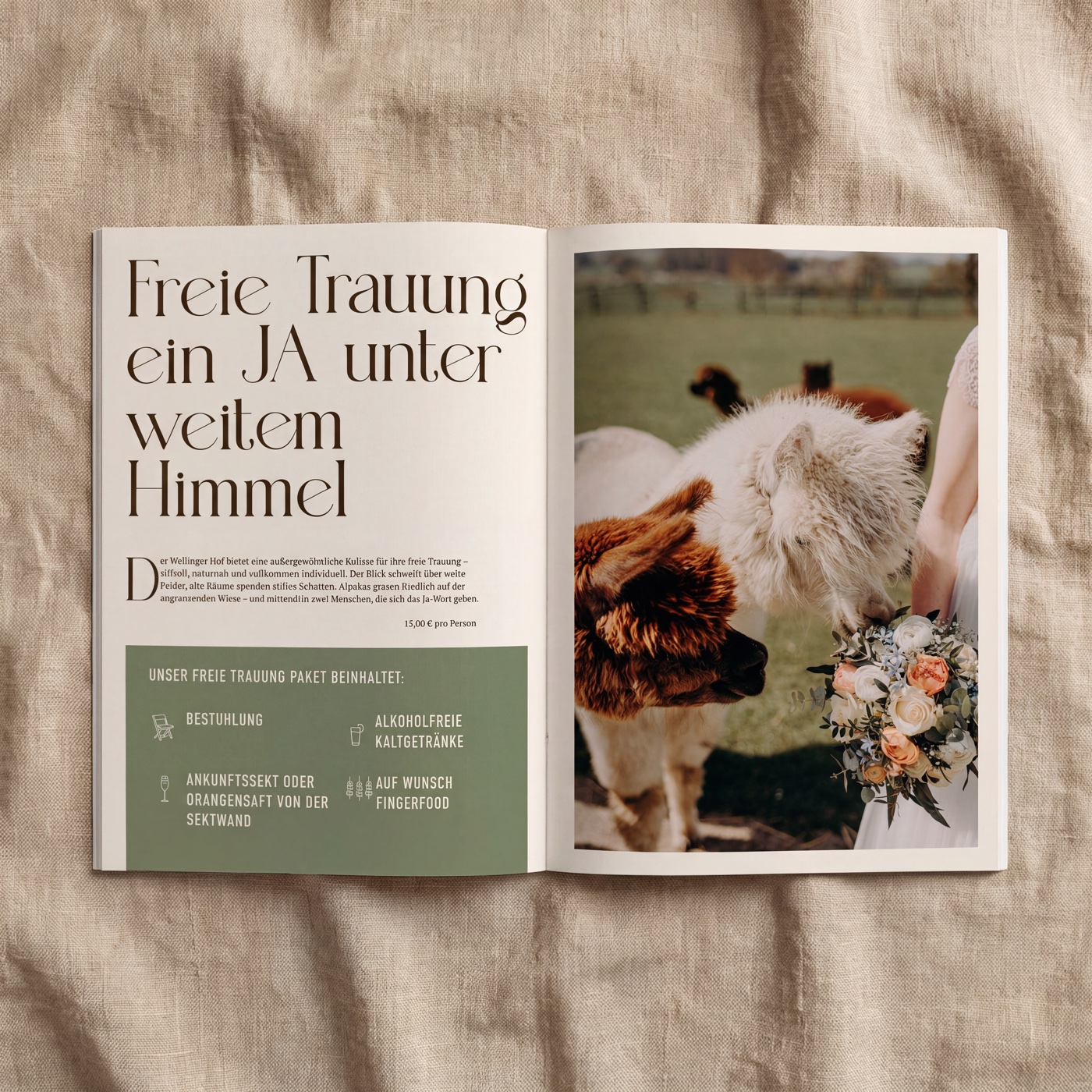 Diele40 Branding